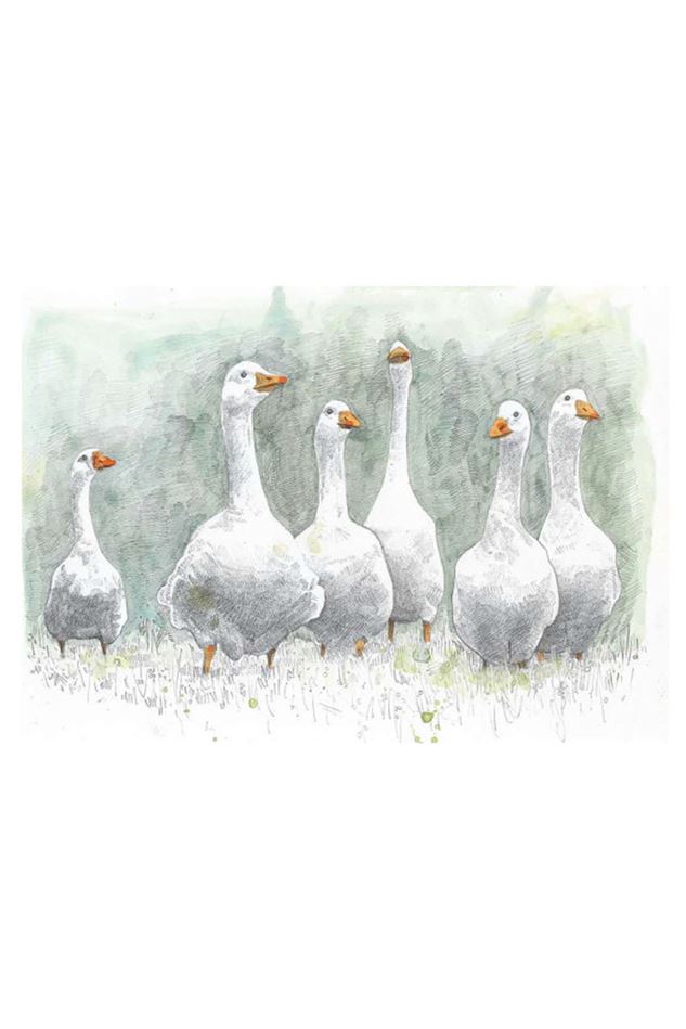 Picture of Hannah Longmuir Print - Looking For Trouble Geese