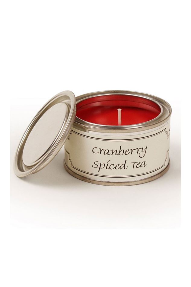 Picture of Pintail Cranberry Spiced Tea Paint Pot Candle