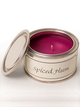Picture of Pintail Spiced Plum Paint Pot Candle