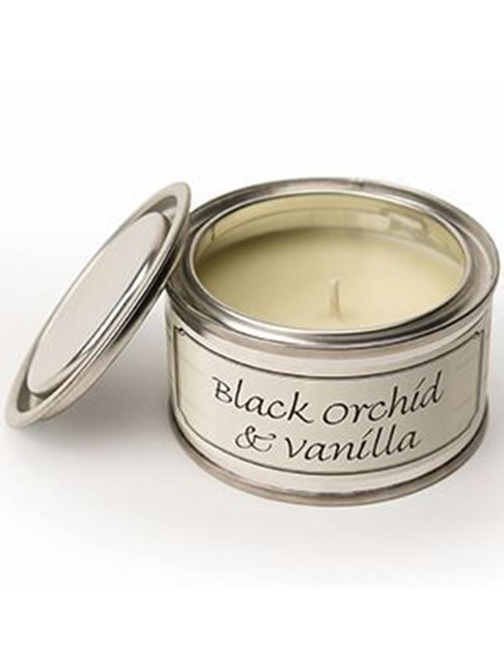 Picture of Pintail Black Orchid & Vanilla Paint Pot Candle