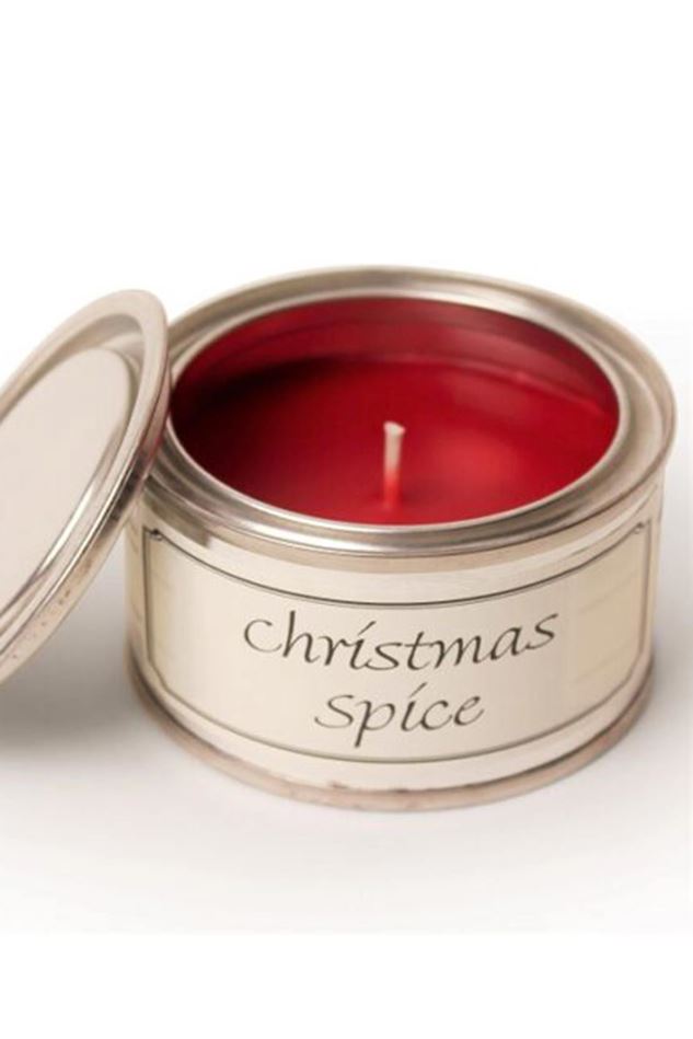 Picture of Pintail Christmas Spice Paint Pot Candle