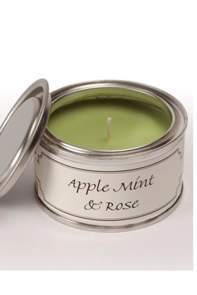 Picture of Pintail Apple Mint & Rose Paint Pot Candle