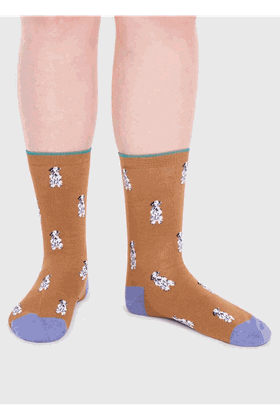Picture of Thought Kenna Bamboo Dog Socks