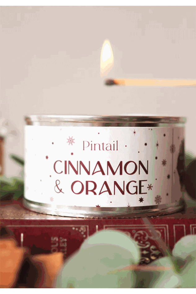 Picture of Pintail Cinnamon & Orange Paint Pot Candle