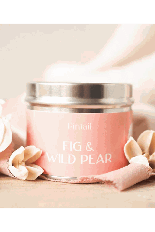 Picture of Pintail Fig & Wild Pear Paint Pot Candle