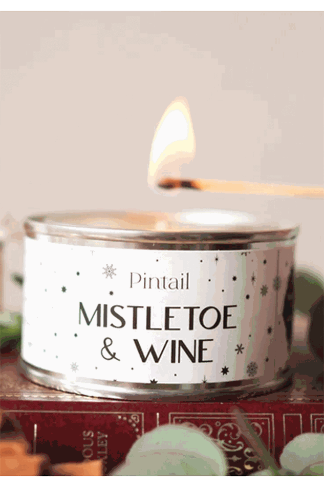 Picture of Pintail Mistletoe & Wine Paint Pot Candle