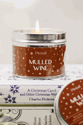Picture of Pintail Mulled Wine Paint Pot Candle