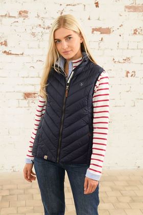 Picture of Lighthouse Laurel Gilet - Navy