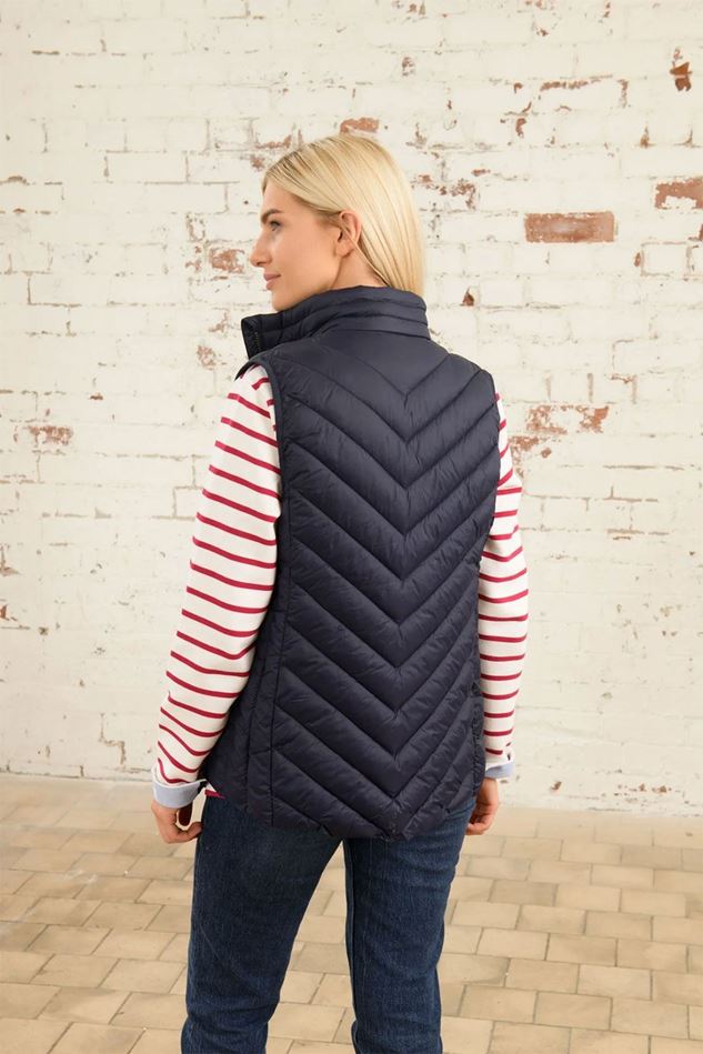 Picture of Lighthouse Laurel Gilet - Navy